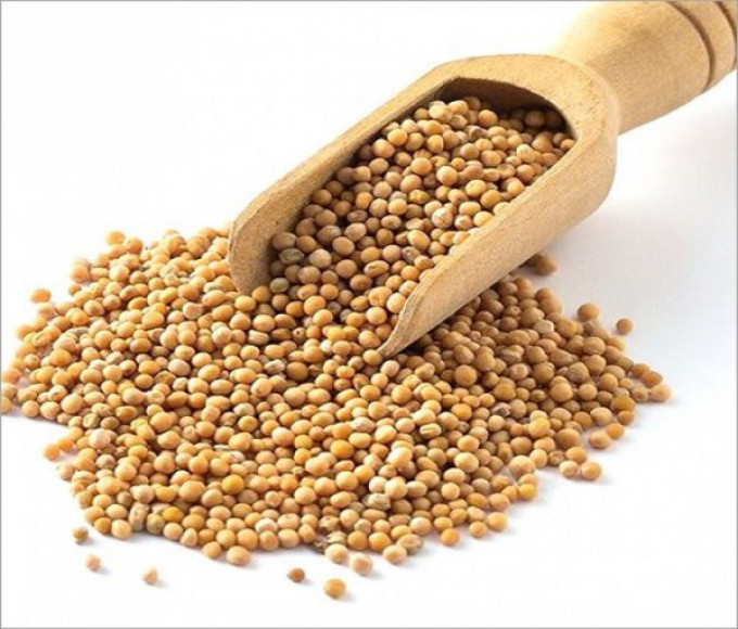 Mukti Fresh: Organic Yellow Mustard Seed